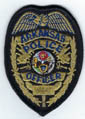 ARPOLICEOFFICERBADGEPATCHGOLDMYLARBLACKBORDERTMB