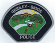 GRIDLEYBIGGSCAPOLICETMB