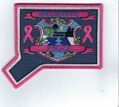 WILLIMANTICCTPOLICEPINKSTD