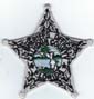 CALHOUNCOFLSOBADGEPATCHSILVERDARKGREENSEALTMB