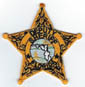 FLDEPUTYSHERIFFBADGEPATCHGOLDLIGHTGREENSEALTMB