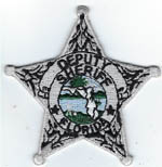 Florida Deputy Sheriff  Stock  Badge Patch  Silver  (Dark Green Seal)