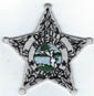 FLDEPUTYSHERIFFBADGEPATCHSILVERDARKGREENSEALTMB