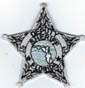 FLDEPUTYSHERIFFBADGEPATCHSILVERLIGHTGREENSEALTMB