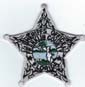 FRANKLINCOFLSOBADGEPATCHSILVERDARKGREENSEALTMB