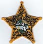 JACKSONCOFLSOBADGEPATCHGOLDDARKGREENSEALTMB
