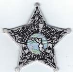 Jefferson County, Florida  S.O.  Badge Patch  Silver  (Light Green Seal)