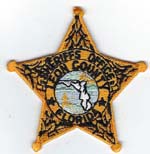 LEONCOFLSOBADGEPATCHGOLDLIGHTGREENSEALSTD