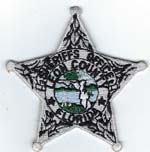Leon County, Florida  S.O. Badge Patch  Silver  (Dark Green Seal)