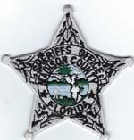 Madison County, Florida S.O.  Badge Patch  Silver  (Dark Green Seal)
