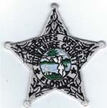 SUWANNEECOFLSOBADGEPATCHSILVERDARKGREENSEALSTD