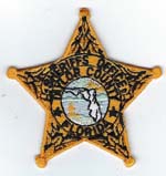 Taylor County, Florida  S.O. Badge Patch  Gold  (Light Green Seal)