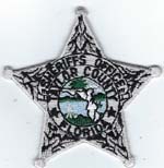 Taylor County, Florida  S.O. Badge Patch  Silver  (Dark Green Seal)