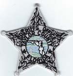 Taylor County, Florida  S.O. Badge Patch  Silver  (Light Green Seal)