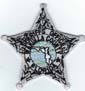 WAKULLACOFLSOBADGEPATCHSILVERLIGHTGREENSEALTMB