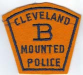 CLEVELANDOHPOLICEMOUNTEDBFELTSTD