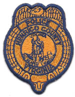 HENRICOCOVAPOLICEBADGEPATCHGOLDSTD.jpg